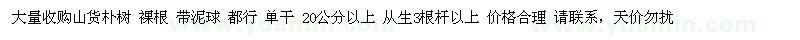 求購20公分以上樸樹