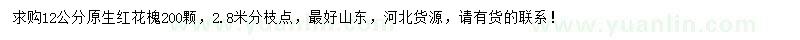 求購12公分紅花槐