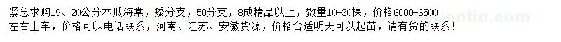 求購(gòu)19、20公分木瓜海棠
