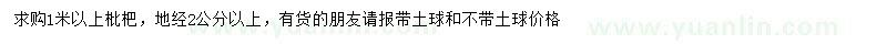求購1米以上枇杷樹
