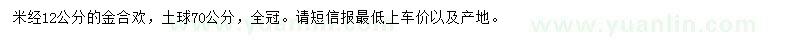 求購米徑12公分金合歡