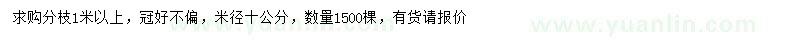 求購米徑10公分桂花