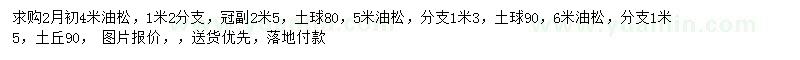 求購4、6米油松