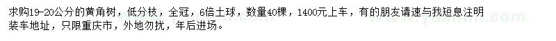 求購19-20公分黃角樹