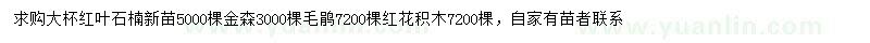 求購紅葉石楠、毛鵑、金森等