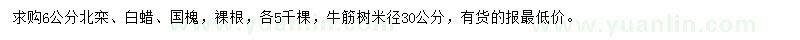 求購北欒、白蠟、國槐等