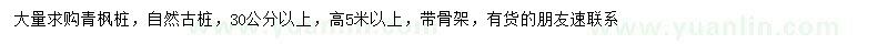 求購30公分以上青楓樁