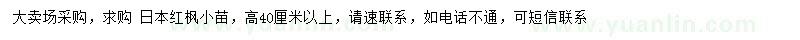 求購(gòu)高40公分以上日本紅楓小苗
