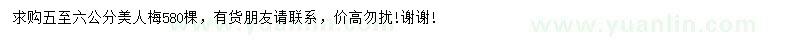 求購5-6公分美人梅