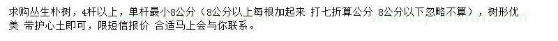 求購(gòu)叢生樸樹(shù)