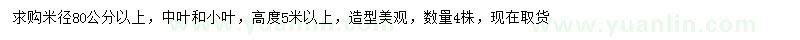 求購米徑80公分以上造型羅漢松