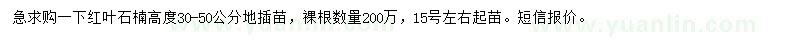 求購(gòu)高度30-50公分紅葉石楠