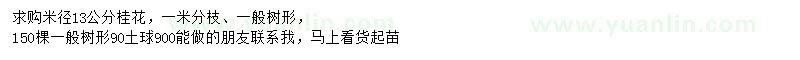 求購(gòu)米徑13公分桂花