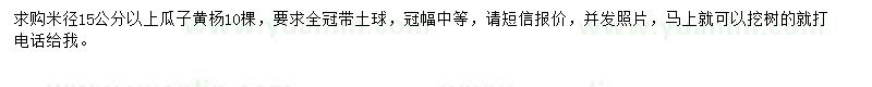 求購(gòu)米徑15公分以上瓜子黃楊