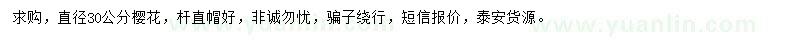 求購直徑30公分櫻花