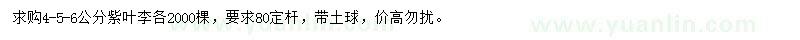 求購4-6公分紫葉李