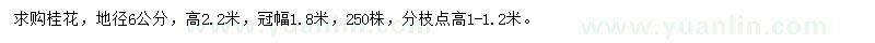 求購地徑6公分桂花
