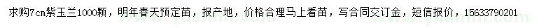 求購7公分紫玉蘭