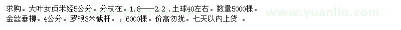 求購米徑5公分大葉女貞