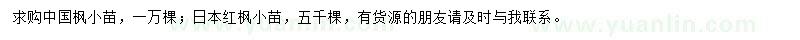 求購(gòu)中國(guó)楓小苗、日本紅楓小苗