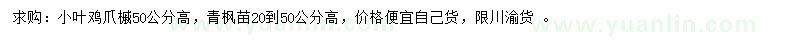 求購高50公分小葉雞爪槭、20-50公分青楓苗