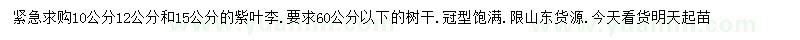 求購10、12、15公分紫葉李