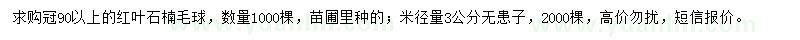 求購冠90公分以上紅葉石楠毛球、米徑量3公分無患子