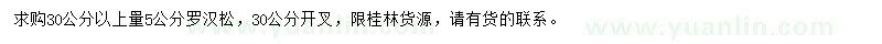 求購(gòu)30公分以上量5公分羅漢松
