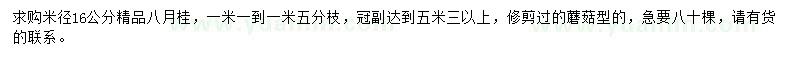 求購米徑16公分八月桂