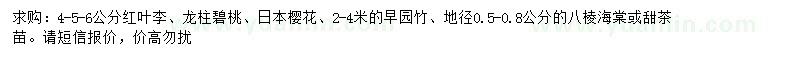 求購(gòu)紅葉李、龍柱碧桃、日本櫻花等