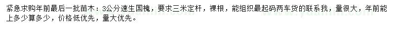 求購3公分速生國槐