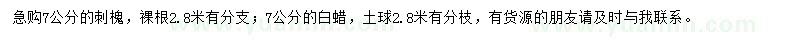 求購7公分刺槐、白蠟