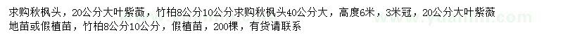 求購秋楓頭、大葉紫薇、竹柏