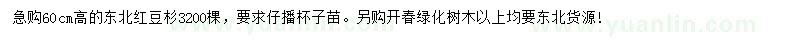 求購(gòu)高60公分東北紅豆杉
