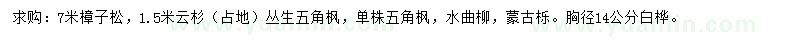 求購樟子松、云杉、五角楓等