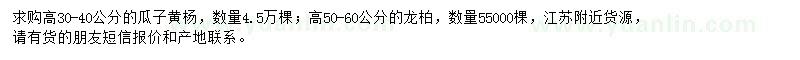 求購高30-40公分瓜子黃楊、高50-60公分龍柏