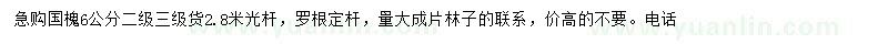 求購6公分國槐
