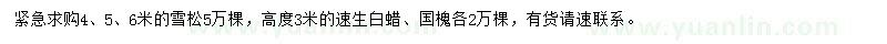 求購(gòu)雪松、速生白蠟、國(guó)槐