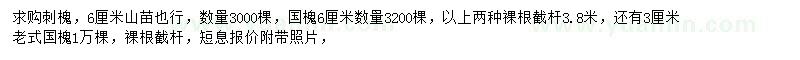 求購刺槐、國槐、老式國槐