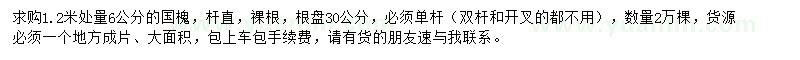 求購1.2米處量6公分國槐
