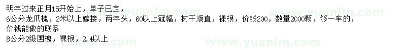 求購6公分龍爪槐、8公分國槐
