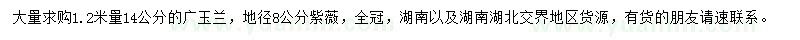 求購1.2米量14公分廣玉蘭、地徑8公分紫薇