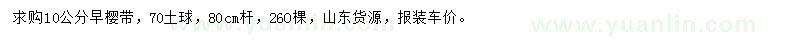 求購10公分早櫻