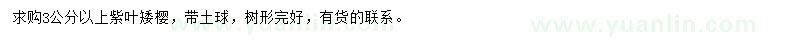 求購(gòu)3公分以上紫葉矮櫻