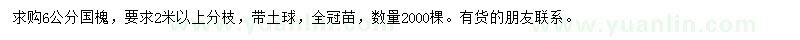 求購6公分國槐