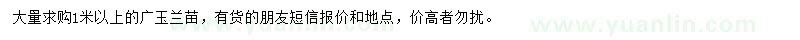 求購(gòu)1米以上廣玉蘭苗