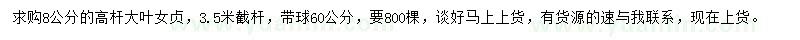 求購8公分大葉女貞