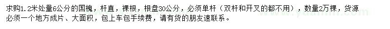 求購6公分國槐
