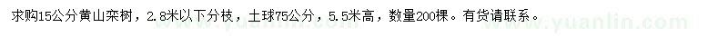 求購15公分黃山欒樹