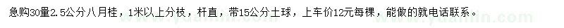 求購30量2.5公分八月桂